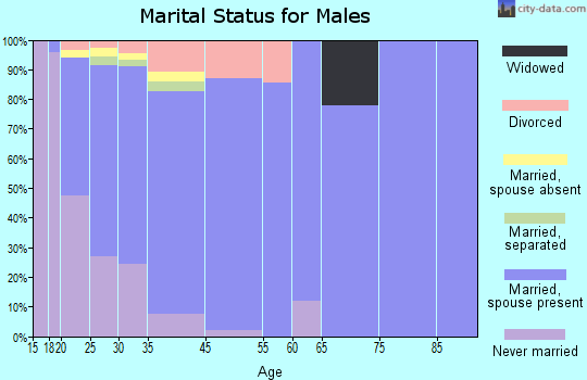 New Castle marital status for males