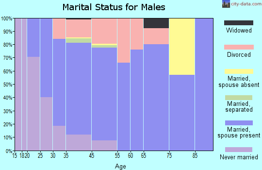 Palmer Lake marital status for males