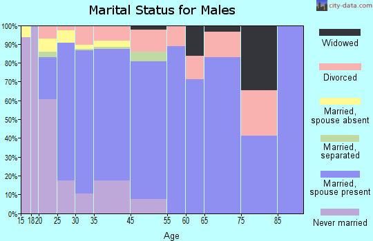 Platteville marital status for males