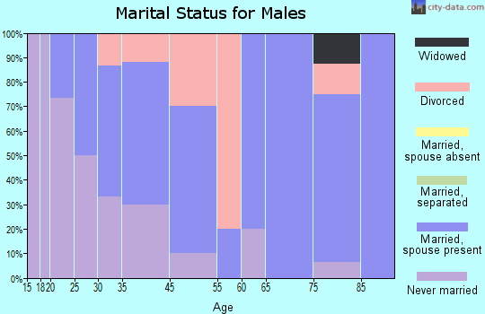 Poncha Springs marital status for males
