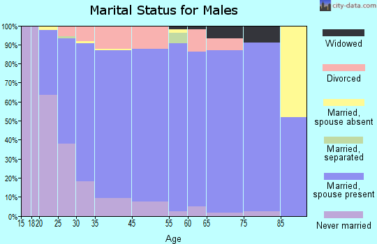 Pueblo West marital status for males