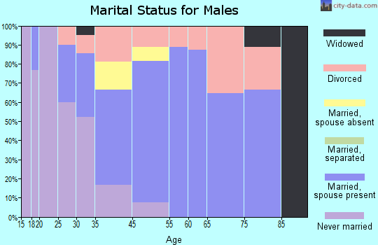 Saguache marital status for males