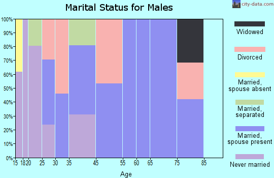 Salt Creek marital status for males