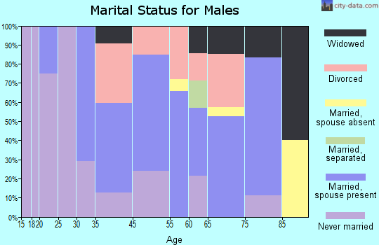 San Luis marital status for males