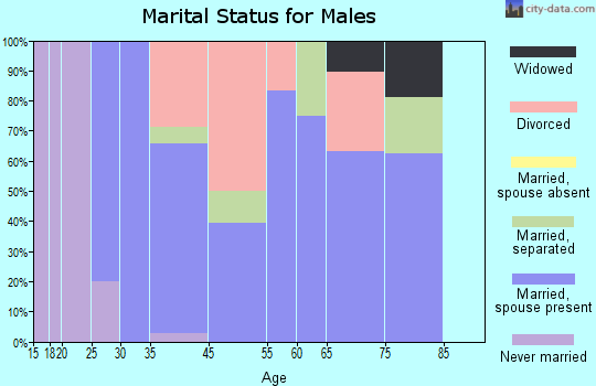 Silver Cliff marital status for males