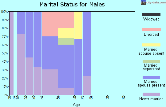 Silver Plume marital status for males