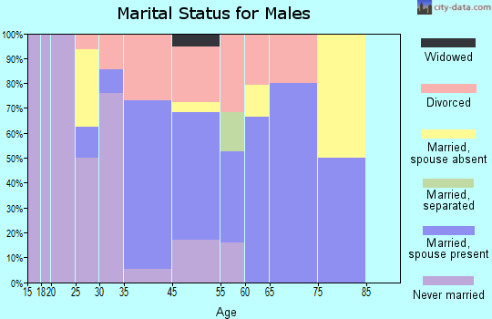 Silverton marital status for males