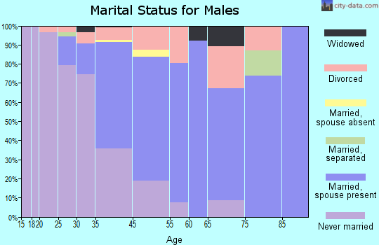 Snowmass Village marital status for males