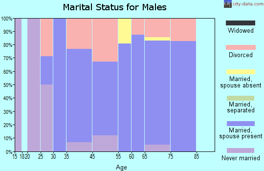 South Fork marital status for males