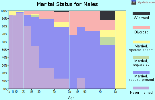 Steamboat Springs marital status for males