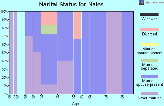 Sugar City marital status for males