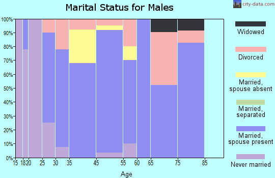 Swink marital status for males