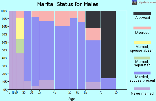 Williamsburg marital status for males