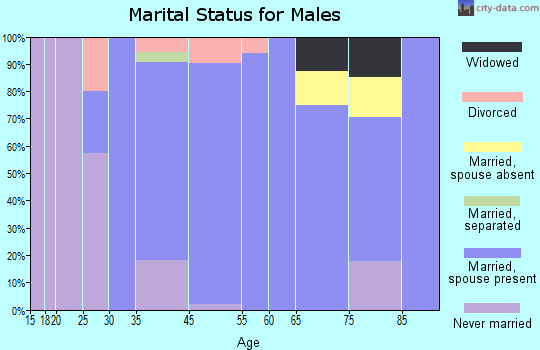 Bethlehem Village marital status for males
