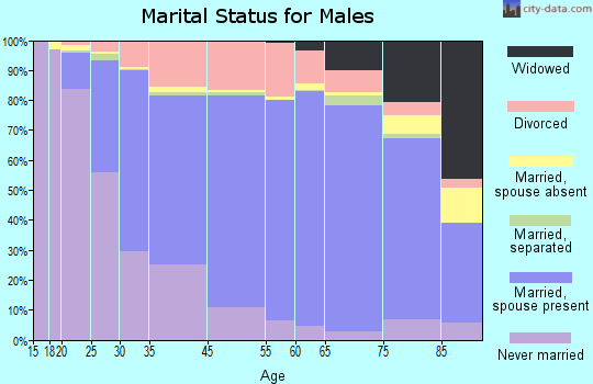 Bristol marital status for males