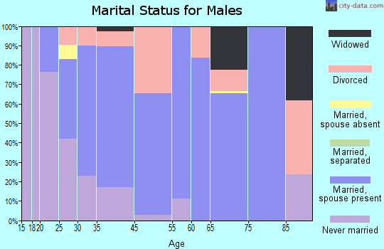 Broad Brook marital status for males
