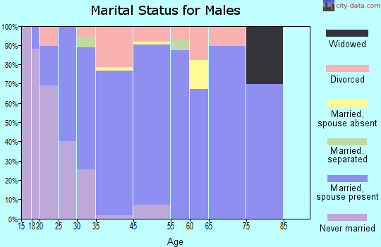 Moores Mill marital status for males