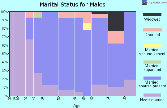 Cheshire Village marital status for males