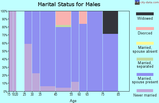 Georgetown marital status for males