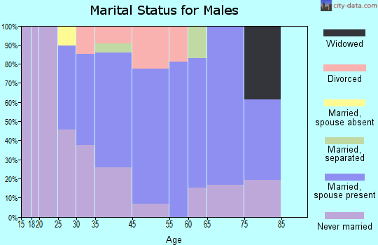 Lake Pocotopaug marital status for males