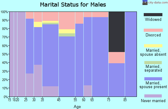 Old Mystic marital status for males