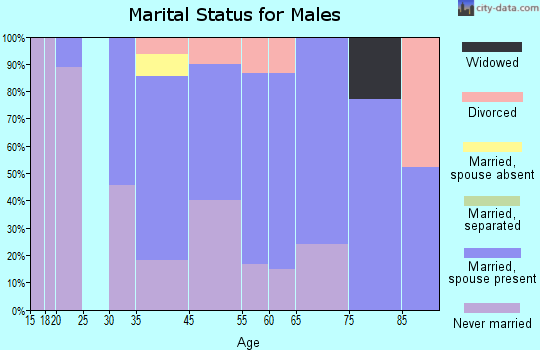 Old Saybrook Center marital status for males
