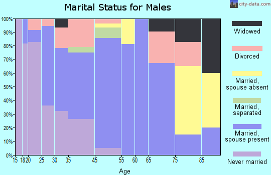 Plainfield Village marital status for males