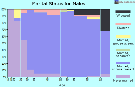 Mountain Brook marital status for males