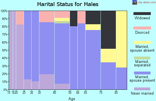 Salmon Brook marital status for males