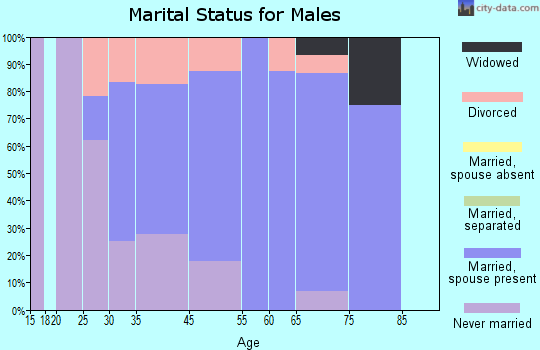 Saybrook Manor marital status for males