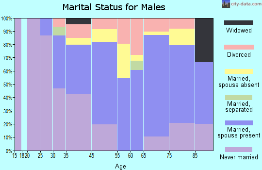 Stonington marital status for males
