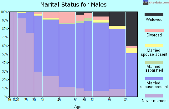Wethersfield marital status for males