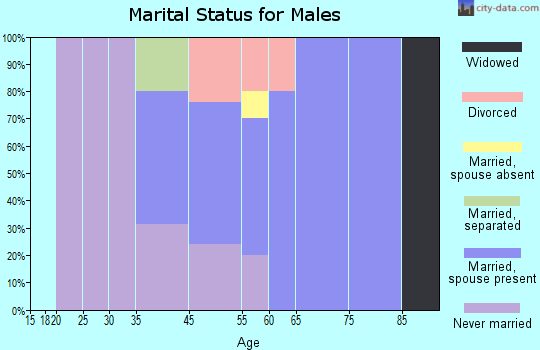 Dewey Beach marital status for males
