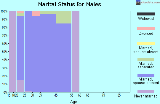 Dover Base Housing marital status for males