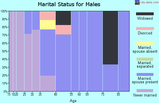 Ellendale marital status for males