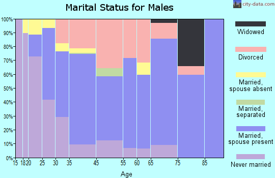 Elsmere marital status for males