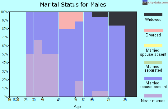 Fenwick Island marital status for males
