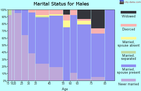 New Castle marital status for males