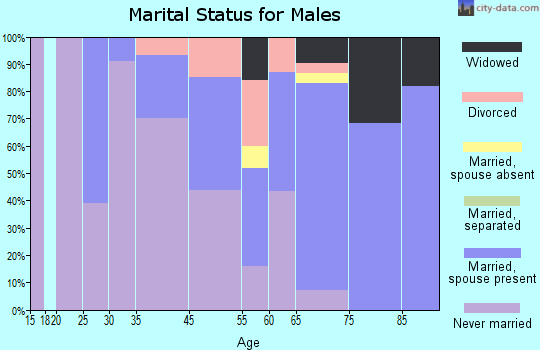 Rehoboth Beach marital status for males