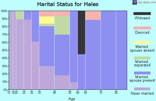 Rodney Village marital status for males