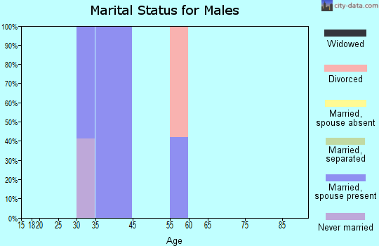 Altoona marital status for males