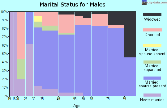 Apollo Beach marital status for males