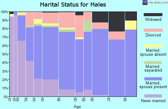 Auburndale marital status for males