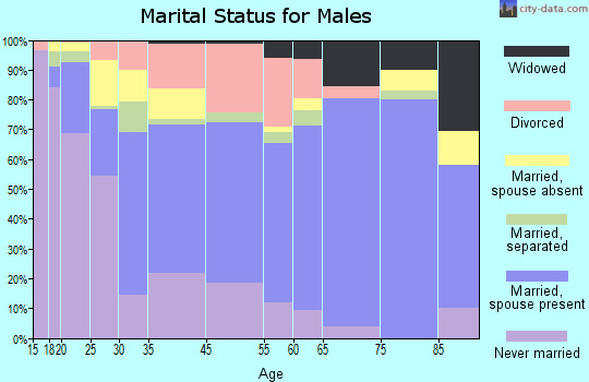 Avon Park marital status for males