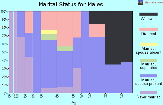Bagdad marital status for males