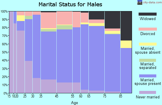 Bayonet Point marital status for males