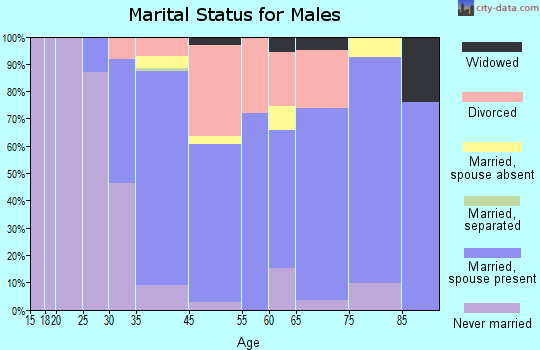 Bay Pines marital status for males