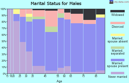 Beacon Square marital status for males