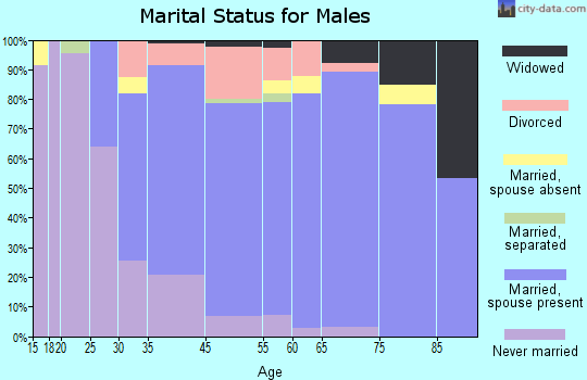 Bee Ridge marital status for males