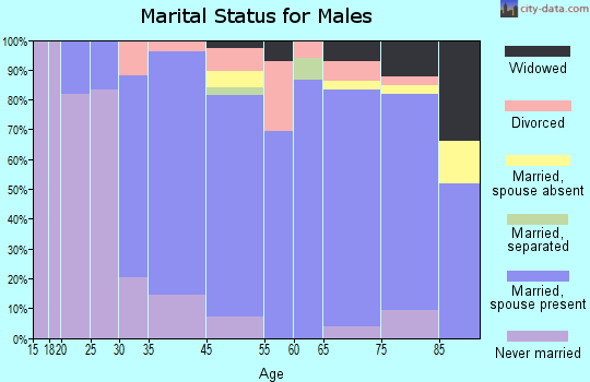 Belleair marital status for males